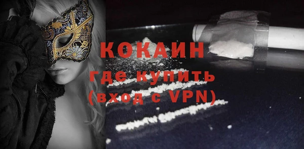 шишки Горняк