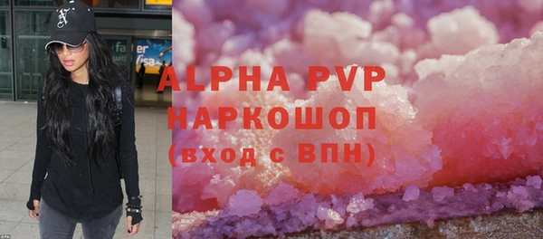 шишки Горняк