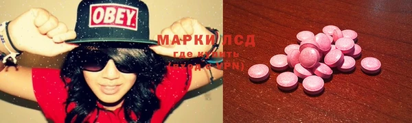 шишки Горняк