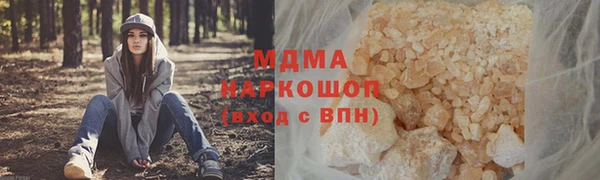 шишки Горняк