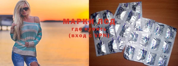 шишки Горняк