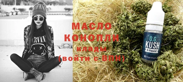 шишки Горняк