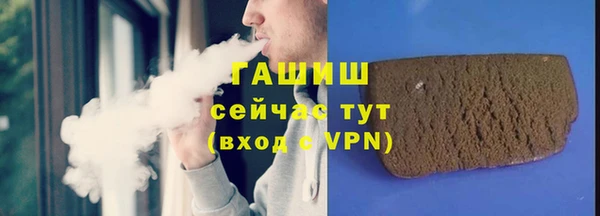 шишки Горняк