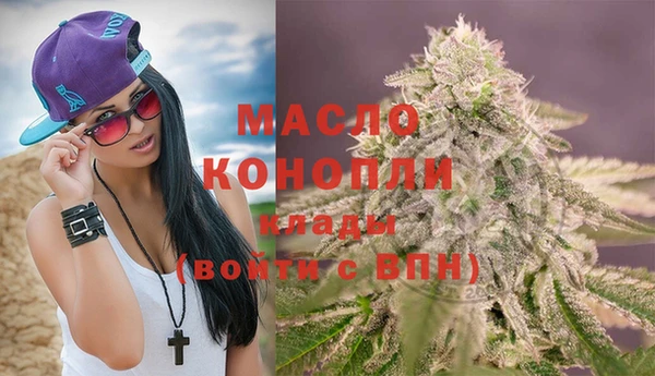 молекула духа Горнозаводск
