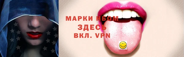шишки Горняк