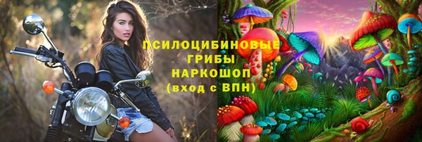 шишки Горняк