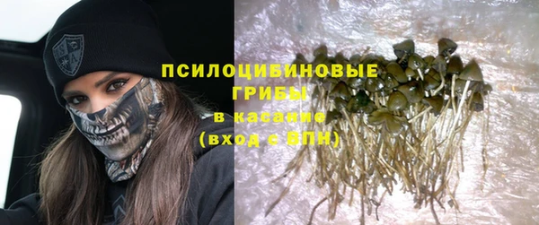 молекула духа Горнозаводск