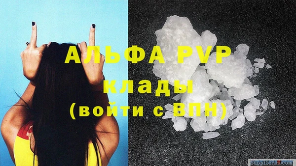 шишки Горняк