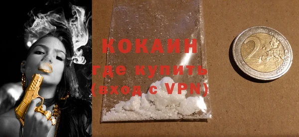 шишки Горняк