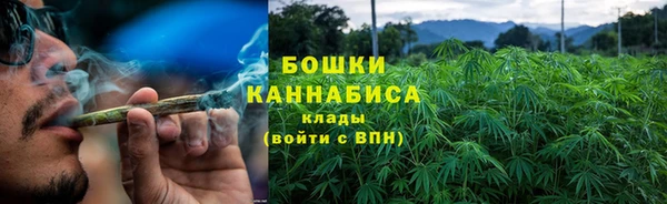 шишки Горняк