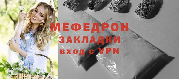 шишки Горняк