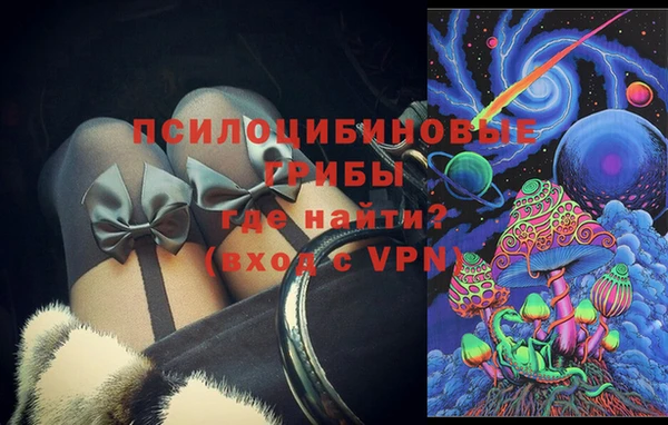 молекула духа Горнозаводск