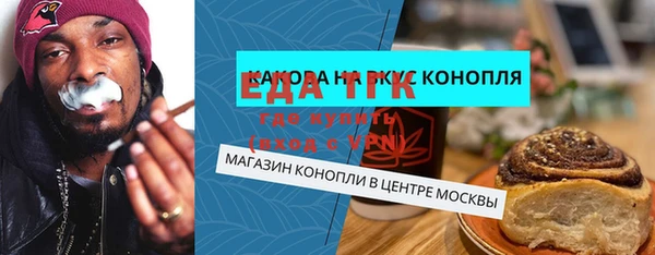 шишки Горняк