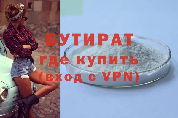 шишки Горняк